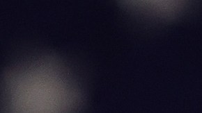 Excongresista demócrata: Biden no tiene problema en sacar a Donald Trump de la boleta electoral