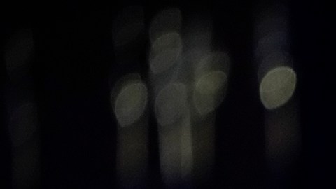 Vivek Ramaswamy reaccionó a las duras críticas de Donald Trump: “Es una medida desafortunada”