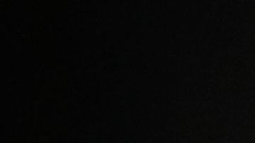 Imagen de un rinoceronte blanco.