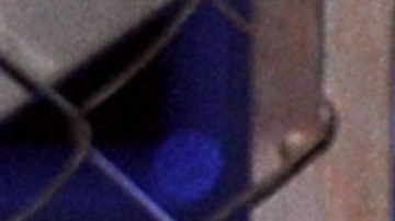 Sofía Vergara y Shakira participando en un evento.