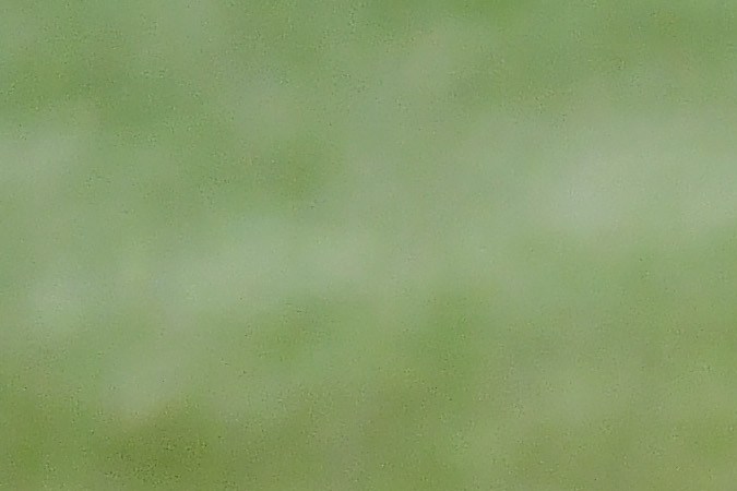 Wander Franco, pelotero de las Grandes Ligas.