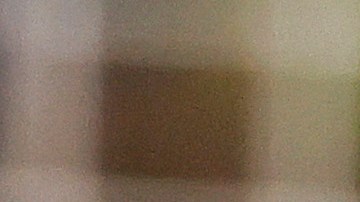 Chicharito Hernández es nuevo jugador de Chivas.