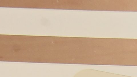 Larsa Pippen se divorció en 2021 de Scotty Pippen.