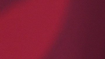 President Lopez Obrador Daily Briefing