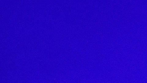 Bad Bunny actuando en un show en vivo.