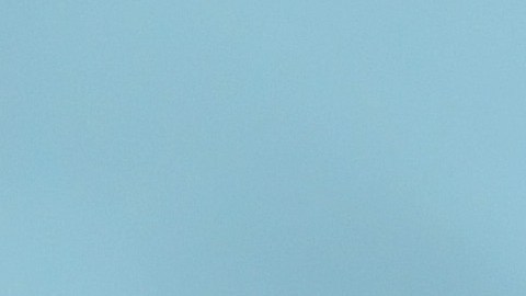 César Farías, director técnico venezolano.