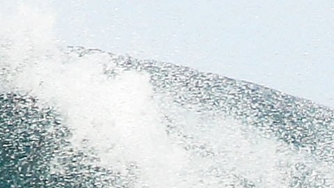 El surfista falleció al tener un "encuentro" con tiburones.