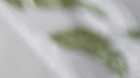 Asistencia alimentaria