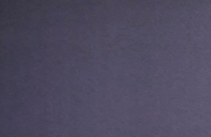 Elenco de Oppenheimer posando.