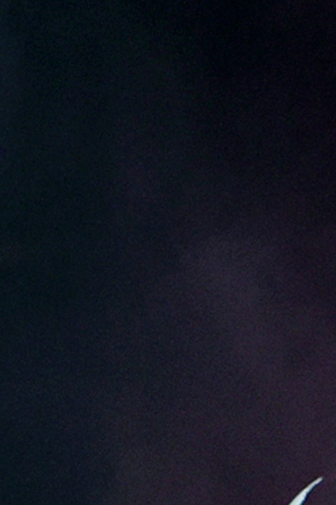 Peso Pluma actuando en un show en vivo.