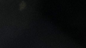 El peleador de la UFC decidió abrir su cuenta OnlyFans para generar ingresos económicos.