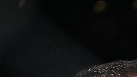 El peleador de la UFC decidió abrir su cuenta OnlyFans para generar ingresos económicos.
