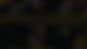 El entrenador del PSG resaltó que los técnicos siempre tienen mucha presión por los medios.