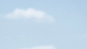 La Patrulla Fronteriza podrá cortar el alambre de púas en la frontera.