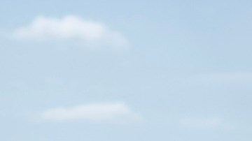 La Patrulla Fronteriza podrá cortar el alambre de púas en la frontera.