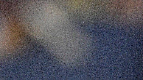 El portero se mostró enfocado en apoyar al equipo de Monterrey a conquistar el título de campeón.