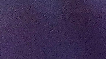 Pedro Almodóvar participando en un evento.