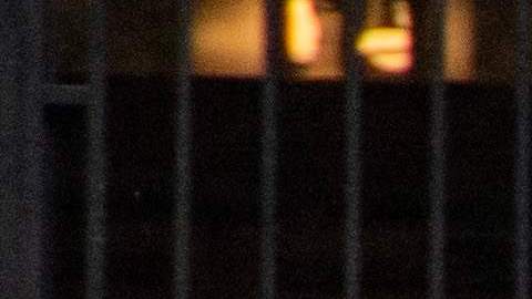 La denuncia dice que el sesgo de Harvard se extiende incluso a las admisiones.