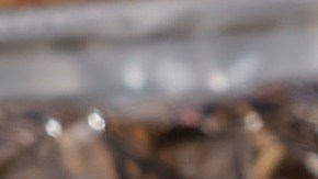 Uno de cada 10 restaurantes en EE.UU. ofrece comida mexicana.