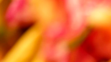 Aunque los tacos son altamente populares en EE.UU., no es el único platillo mexicano que ofrecen los restaurantes estilo mexicano.