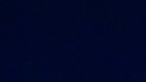 Arnold Schwarzenegger