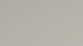 Elon Musk al gobernador de Texas: “Joe Biden infringe la ley al facilitar la inmigración ilegal”