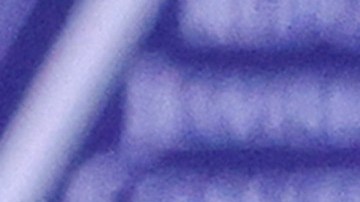 El exgobernador de Nueva Jersey destacó en la campaña presidencial por fustigar continuamente al expresidente Donald Trump.