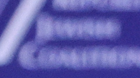 El exgobernador de Nueva Jersey destacó en la campaña presidencial por fustigar continuamente al expresidente Donald Trump.