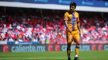 El jugador de Atlético San Luis llega a la frontera para reforzar a los Bravos.