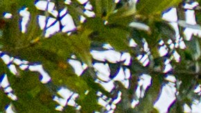 McDonald's Double Big Mac llegará al menú el 24 de enero