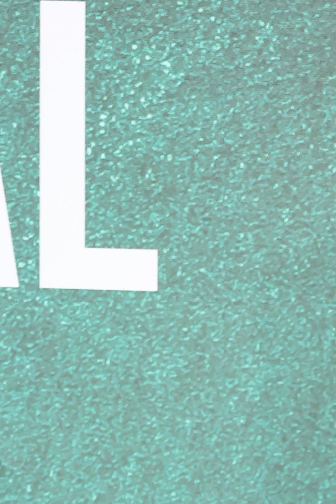 Eugenio Derbez posando en una alfombra roja.