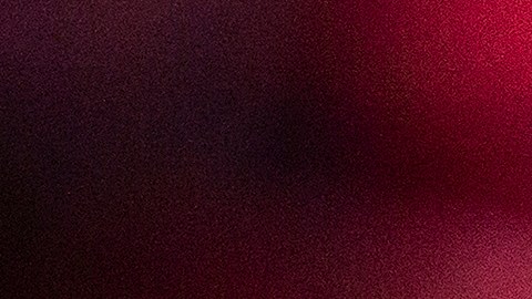 El entrenador mexicano afirmó que Juan Brunetta es el mejor fichaje de la temporada.