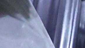 Ratas y ratones vagan por las trincheras en Ucrania.