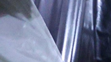 Ratas y ratones vagan por las trincheras en Ucrania.