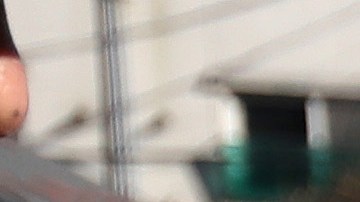 Un perro mira desde una jaula mientras agentes de policía bloquean una protesta de un criador de perros en Corea del Sur.