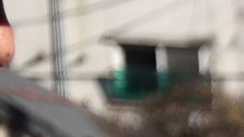 Un perro mira desde una jaula mientras agentes de policía bloquean una protesta de un criador de perros en Corea del Sur.