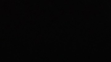 Robert Dante, entrenador del Club Tigres.