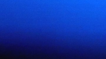 Kawhi Leonard es la máxima estrella de Los Angeles Clippers.