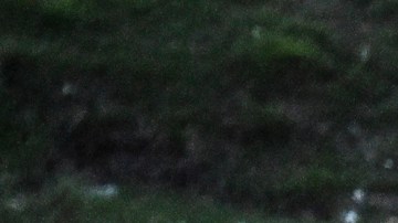 gentes de Aduanas y Protección Fronteriza hacen guardia mientras los inmigrantes esperan ser procesados ​​en un centro de tránsito de la Patrulla Fronteriza de EE.UU.