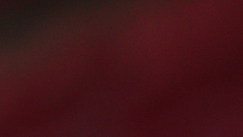 Karim Benzema, delantero francés.