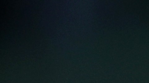 El jugador mexicano pidió apoyo a Rafa Márquez antes de firmar con el Betis.