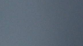 Decoy: El perro de Shohei Ohtani consiguió su visa para viajar de Tokio a California