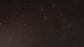 Nicolás Domínguez, jugador del Nottingham Forest.