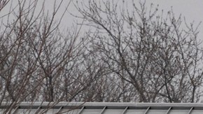 Murió director de escuela en Iowa: intentó proteger a estudiantes durante tiroteo y recibió un disparo