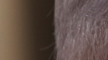 Netanyahu reafirmó a Joe Biden su rechazo a un Estado palestino: “Israel debe mantener la seguridad”