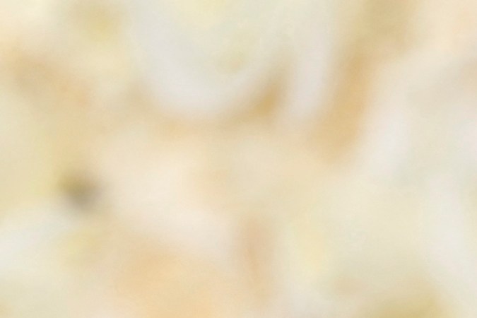 La influencer estadounidense Anna Sitar llega a la 81ª edición anual de los Globos de Oro. (Foto de Michael TRAN/AFP) (Foto de MICHAEL TRAN/AFP vía Getty Images)