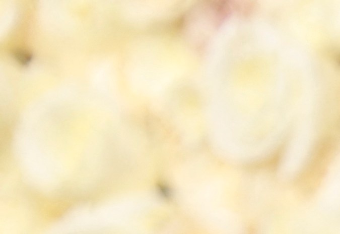 El actor estadounidense Robert Downey Jr. y su esposa Susan Downey llegan a la 81ª edición de los Golden Globe Awards en el hotel Beverly Hilton de Beverly Hills.(Foto de Michael TRAN / AFP) 