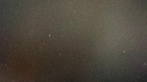 Cameron Dawson celebra tras detener el segundo penal del encuentro ante Cardiff City.