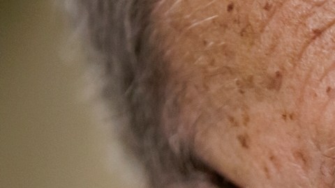 El Senador Chuck Schumer dio una conferencia para compartir la información.