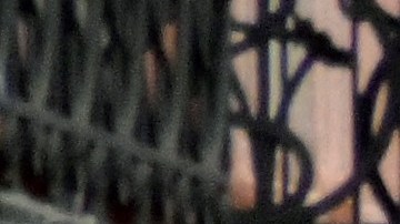 El presidente de Ecuador, Daniel Noboa, declaró la existencia de un "conflicto armado interno" en el país.